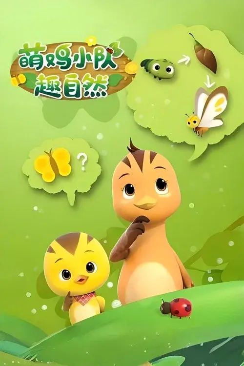 萌鸡小队趣自然