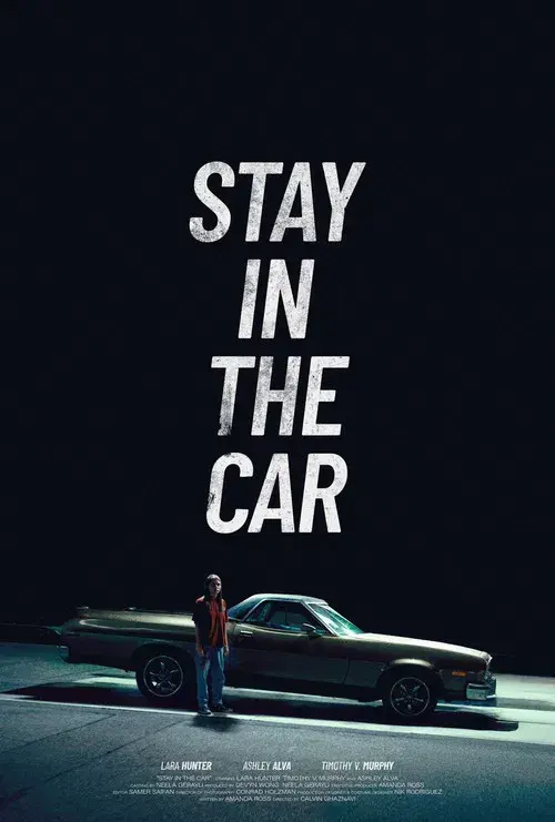 Stay in the car