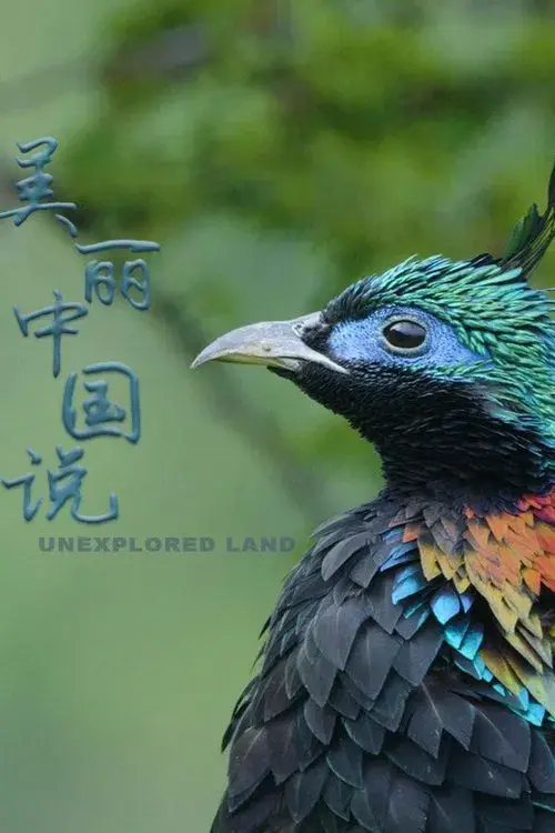 美丽中国说