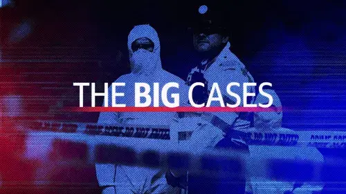 The Big Cases