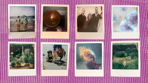 Collections