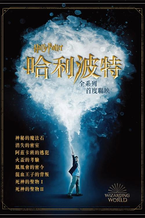 Harry Potter Movie Collection