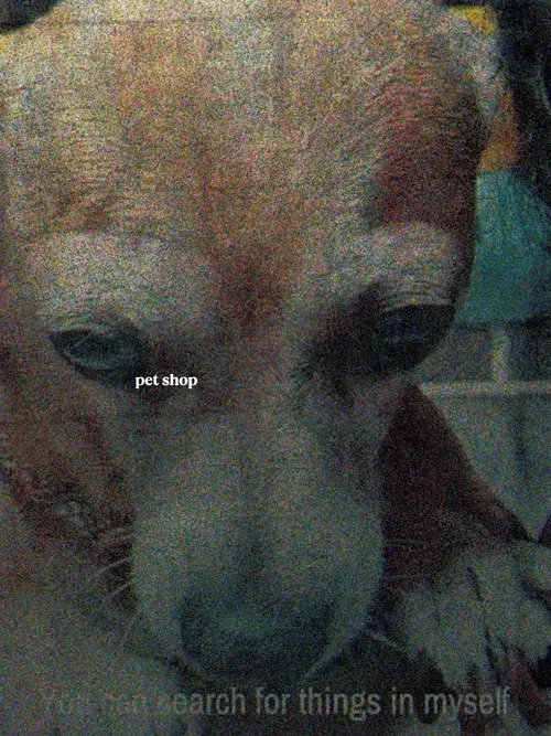 Tienda de perros