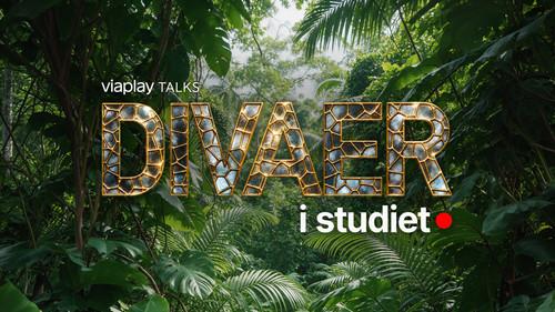 Divaer i studiet