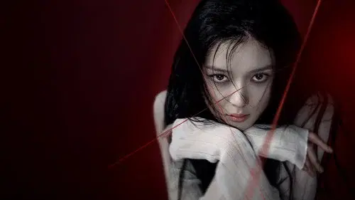 친애하는 X