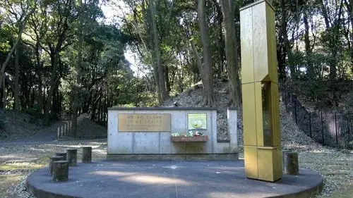 Forest Gap