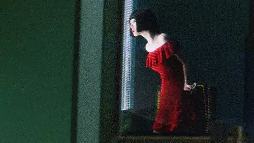 페르소나: 설리