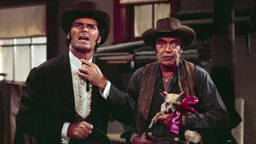 Support Your Local Gunfighter