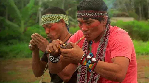 Secreto ancestral. Guardianes de la medicina indígena