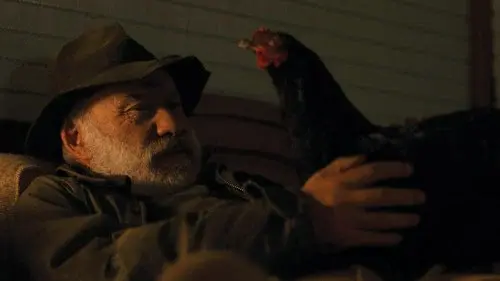 Hen