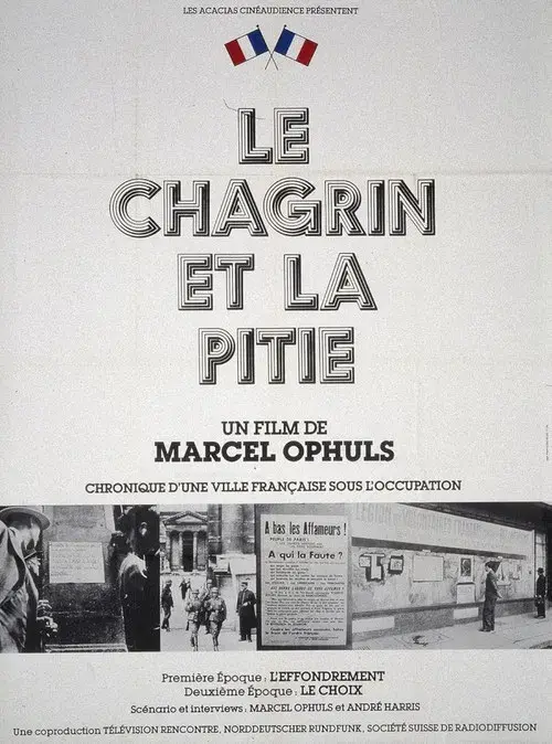 Le chagrin et la pitié
