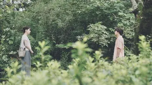 Can't Cry with Your Face