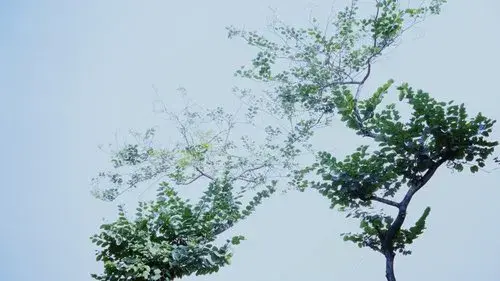 Hypothesis of Barrier Agreed Upon