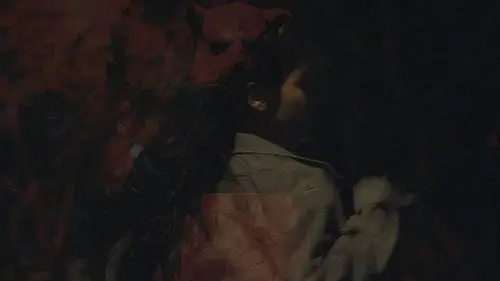 Beautiful Nightmare
