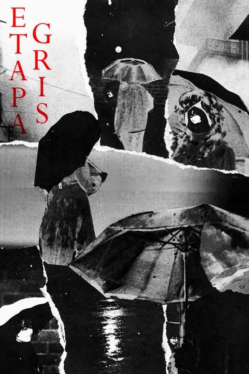 Etapa Gris