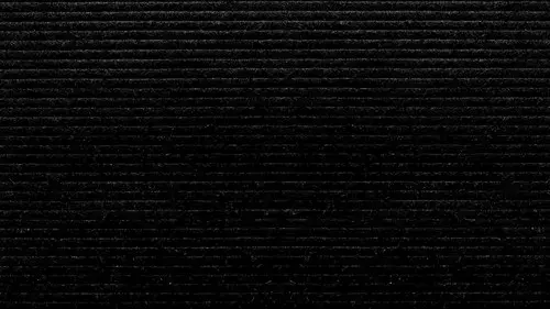 Celebrity Substitute