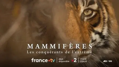 Mammifères, les conquérants de l'extrême