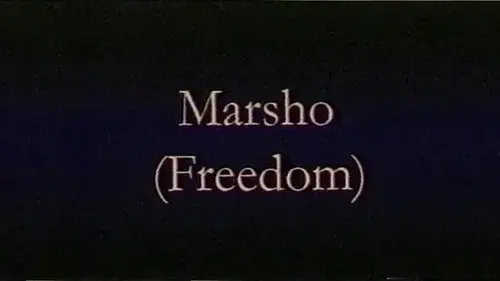 Freedom
