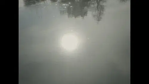 Les fées sont-elles réelles ?