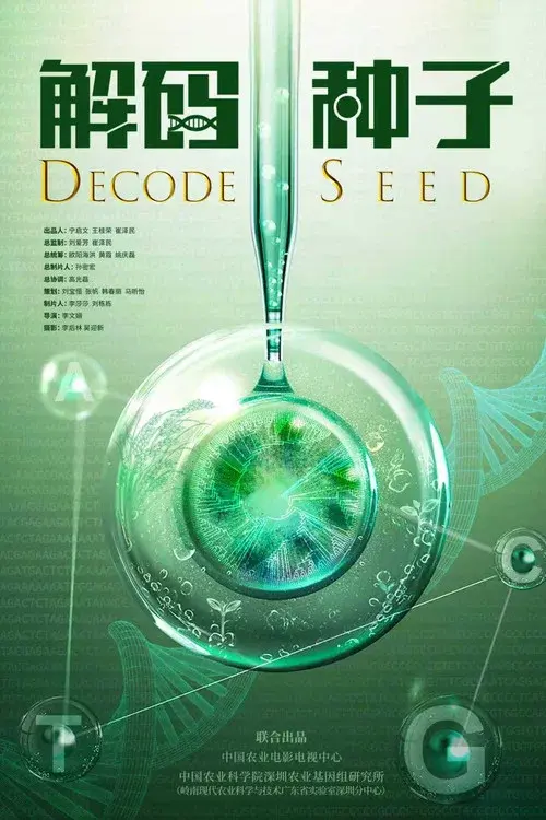 解码种子