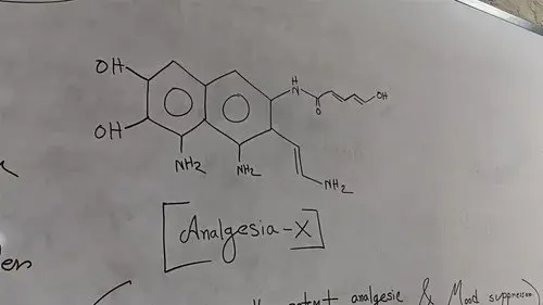 Analgesia-X