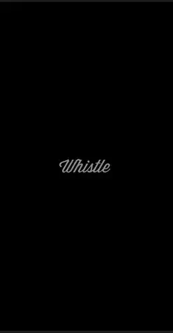Whistle