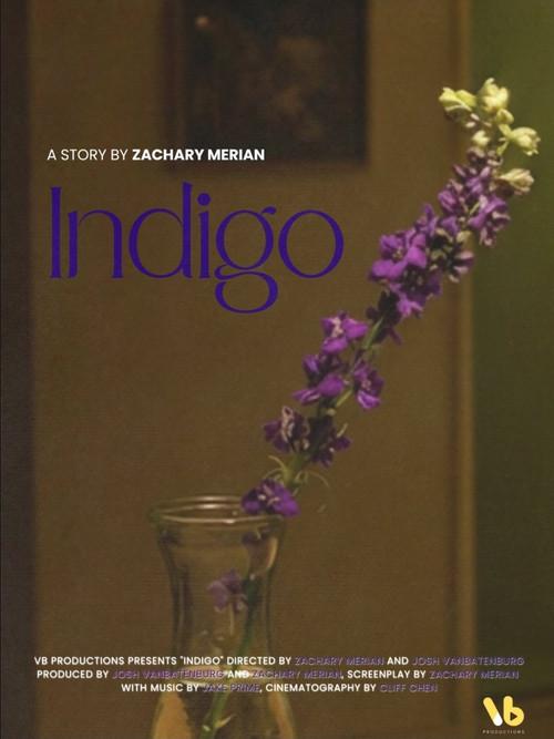 INDIGO
