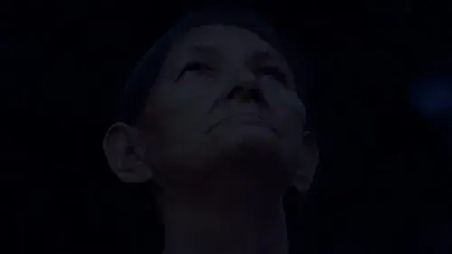 Our Own Shadow