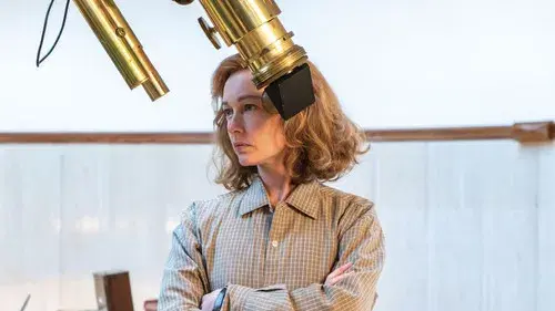 Margherita delle stelle