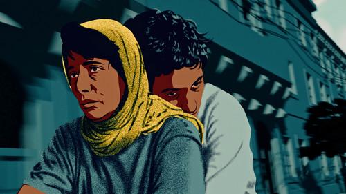 The Bird’s Placebo