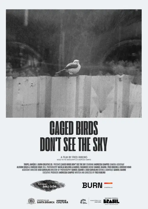 Pássaros Enjaulados Não Veem o Céu