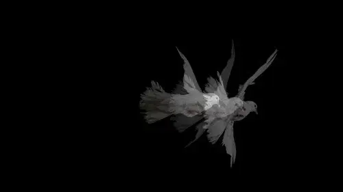 Doves (Loss of Love and Desensitization of Grief)