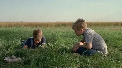 The Nature of Nicholas