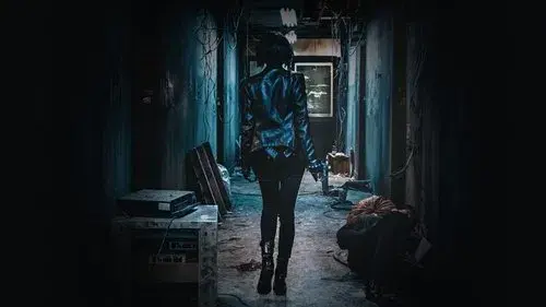 The Villainess
