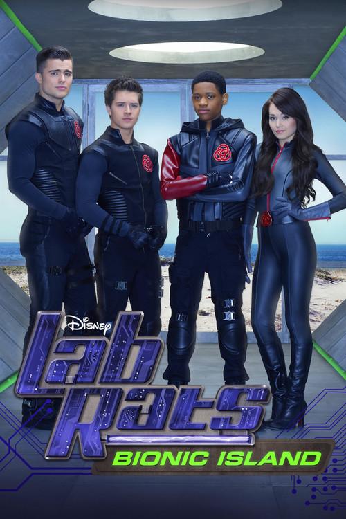 Lab Rats