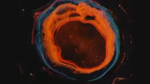 Fluids