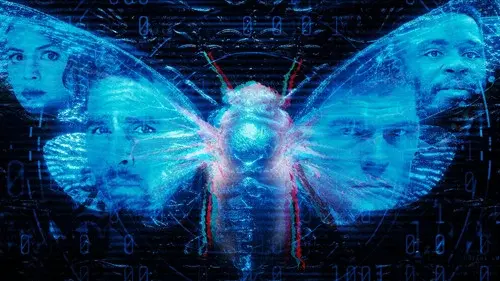 Dark Web: Cicada 3301