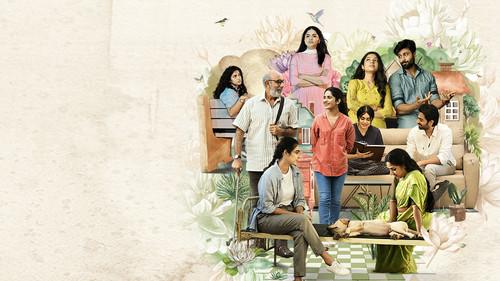 మీట్‌ క్యూట్‌