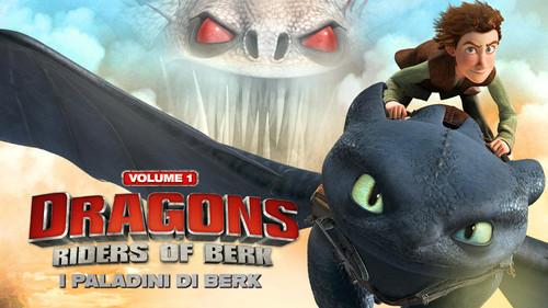 Dragons - I Paladini Di Berk