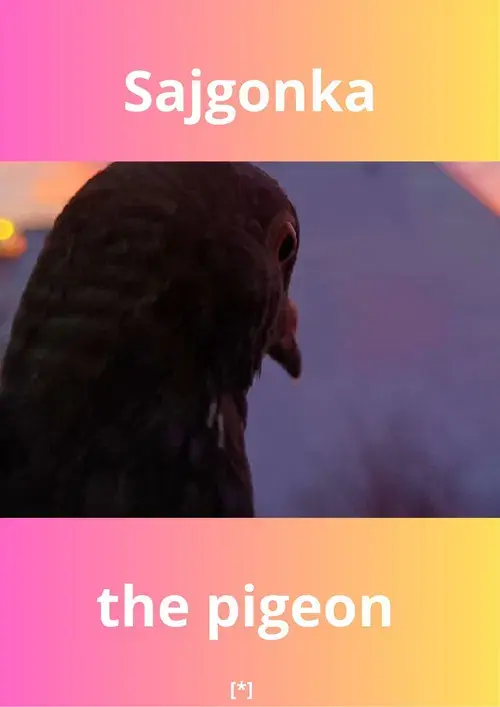 Sajgonka The Pigeon
