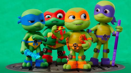 Teeny Mutant Ninja Turtles