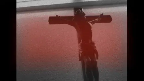 gottes schöpfung