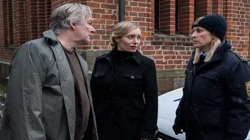 Der Dänemark-Krimi - Blutlinie