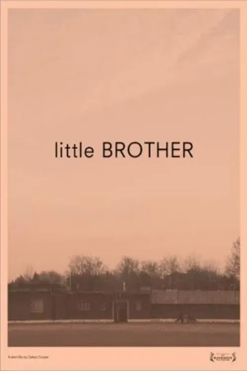 Little Brother