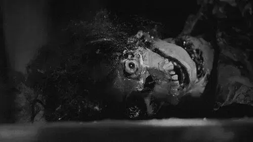 Night of the Living Dead