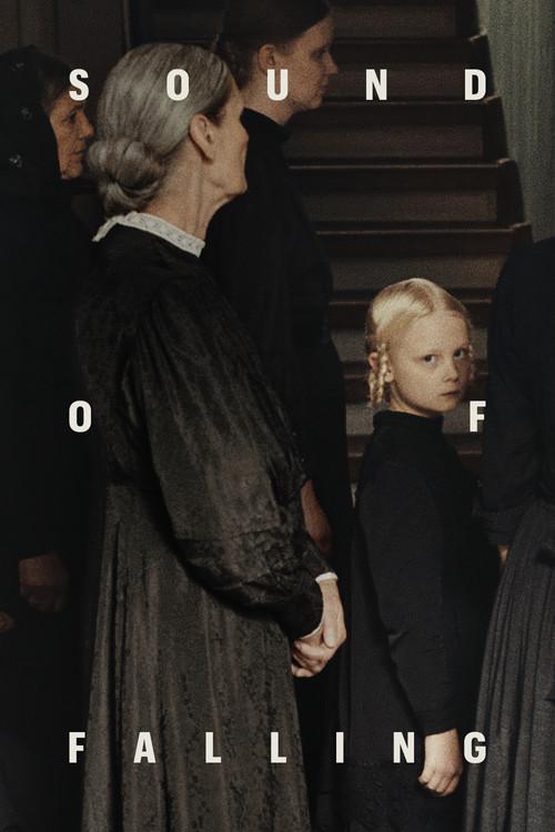 In die Sonne schauen