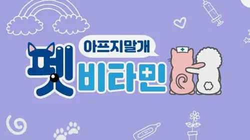 펫 비타민