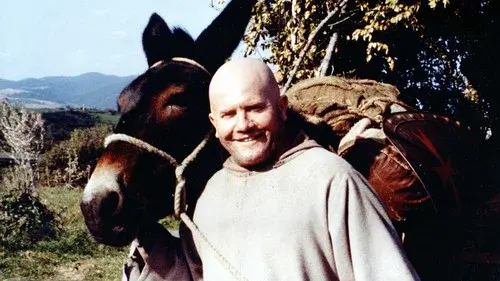 The Dogs of Jerusalem