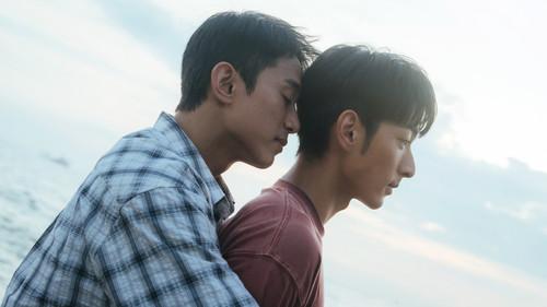 向流星許願的我們