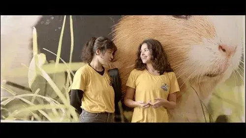 Crisálidas